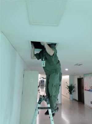 專業滅鼠，守護健康——廣漢工廠滅鼠服務咨詢與信息指南